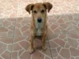 Nemo