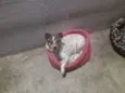 Rita