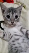 Baby 2