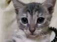 Baby 2