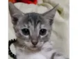 Baby 2