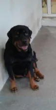 Fred