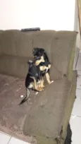 Bolinha