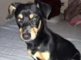 Bolinha