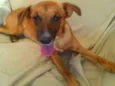 Dalila