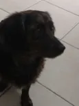 Não sei