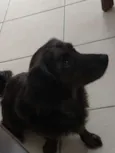 Não sei