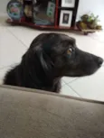 Não sei