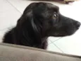 Não sei