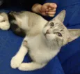 Mia