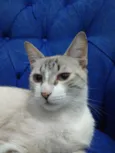 Mia