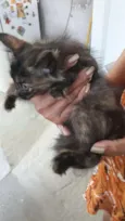 Vitória