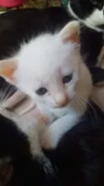 Ñ tem nomes ainda 