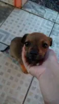 Mel