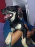 Malú