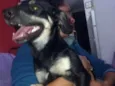 Malú