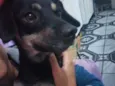 Malú