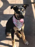 LUNA