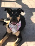 LUNA