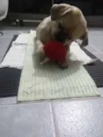 Nick