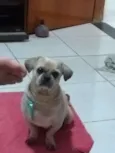 Nick