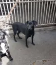 Mad