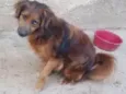 Mutante