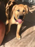 MOLLY