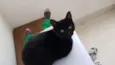Marie