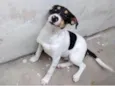 Kadu