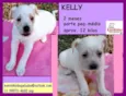 Kelly Bebezinha