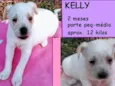 Kelly Bebezinha