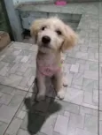 Any