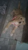 Any