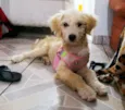 Any