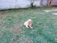 Billy
