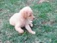 Billy