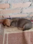 Não tem nome