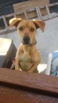 Billy