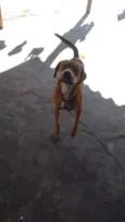 Escobi 