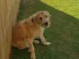 Maggie