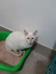 Charles