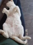 Charles
