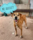 Pepê