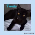 TROVÃO