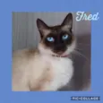FRED