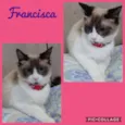 FRANCISCA