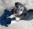 Kika Bebezinha