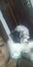 Jhoung
