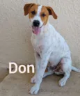 Don